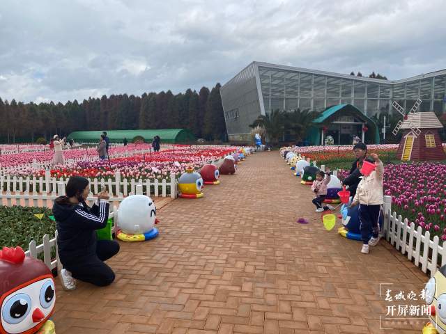 捞渔河公园百万株郁金香陆续绽放 (5).jpg