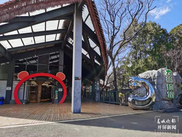 彩绘、假山、沙池……昆明动物园萌宠搬进漂亮舒适“新家” 孙琴霞 通讯员 黄蕊 摄