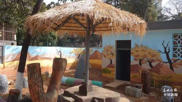 彩绘、假山、沙池……昆明动物园萌宠搬进漂亮舒适“新家” 孙琴霞 通讯员 黄蕊 摄