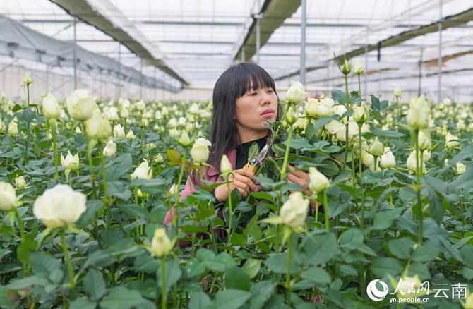 1310441337_16431626772721n