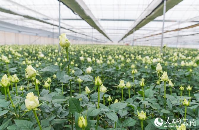 1310441337_16431626873501n