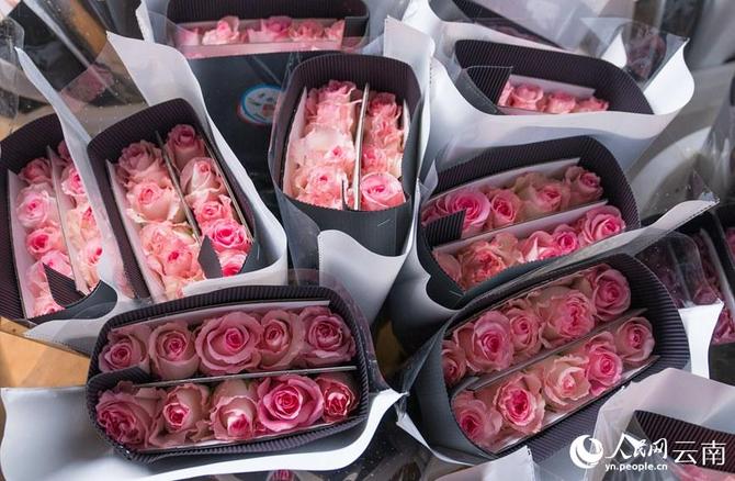 1310441337_16431627712531n