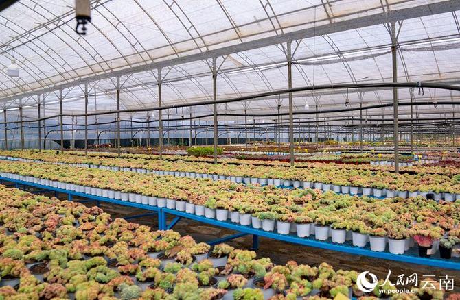 LOCAL202201280907000006220022812