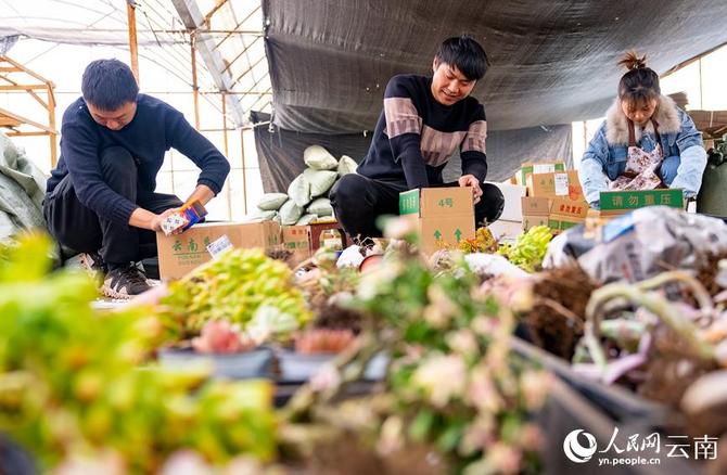 LOCAL202201280907000011468010075