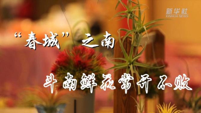 20220128f39080ea32d743f7bf27255c139d4dee_RREe7DTBJU5elqBZ