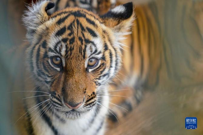 f44d30758ab0235da0723c