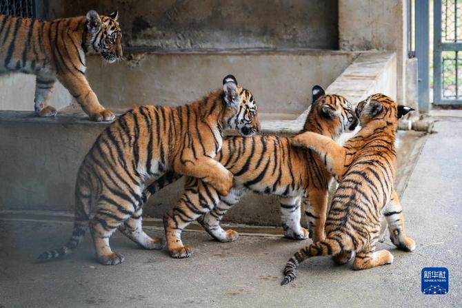 f44d30758ab0235da3d121