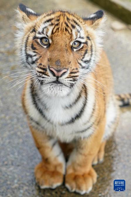 f44d30758ab0235da3d122