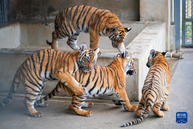 f44d30758ab0235da3d123