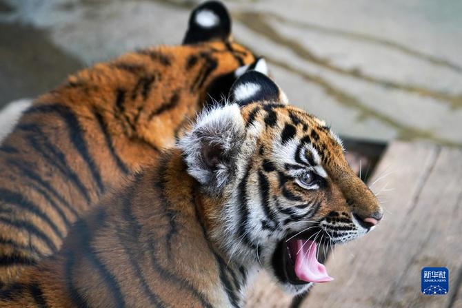 f44d30758ab0235da3d124