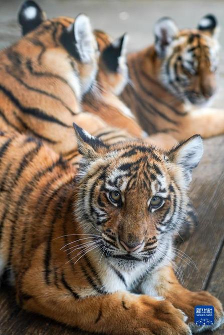 f44d30758ab0235da3d226