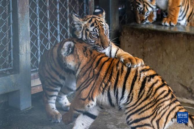 f44d30758ab0235da0773d