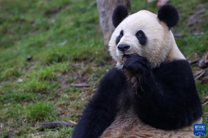 f44d30758ab0235da0945c