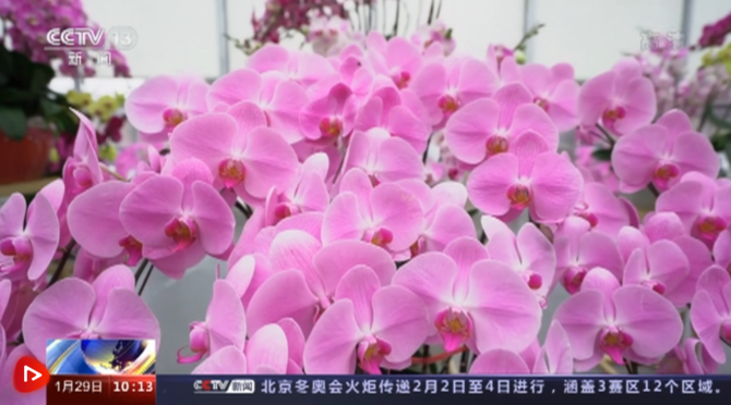 微信图片_20220129181210 微信图片_20220129181210