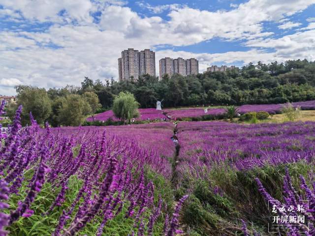 曲靖麒麟区景区(开屏新闻记者 蒋琼波 通讯员 李丽 摄)