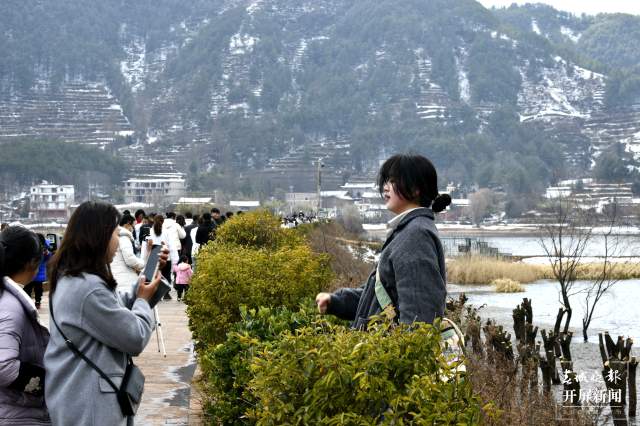 曲靖会泽黑颈鹤(开屏新闻记者 蒋琼波 通讯员 袁嵘 代红炀 摄)