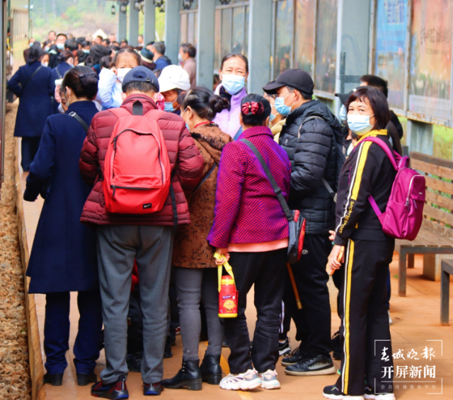 云南米轨旅游小火车春节假期发送旅客1.1万 孙江荭 通讯员 刘昊亮 王莉 摄