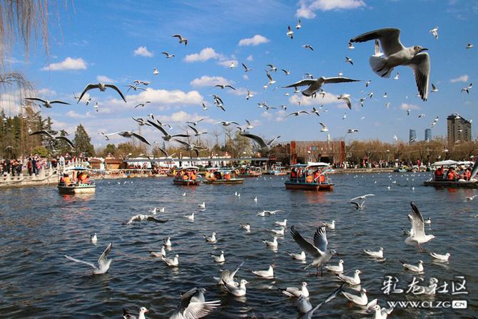 l5jwykooqa l5jwykooqa