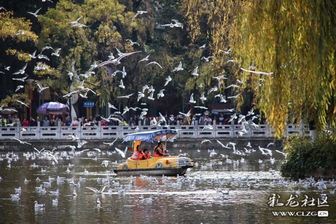 c9w18sfyk7u c9w18sfyk7u