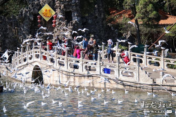 y32ntrmm4x y32ntrmm4x