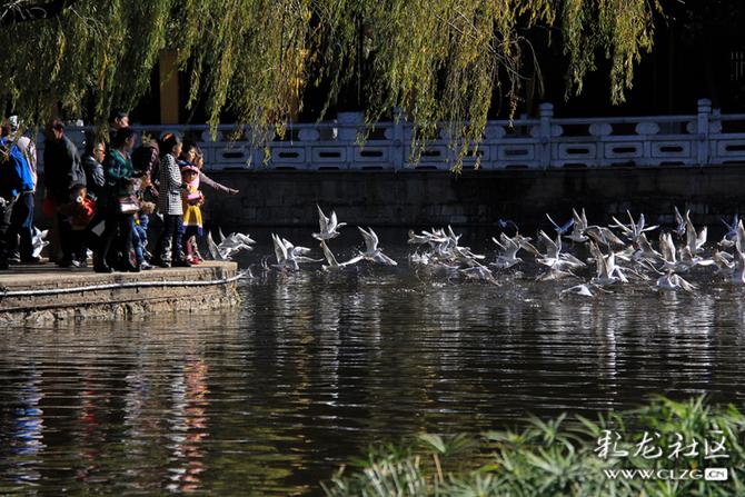 bre0otg2mz4 bre0otg2mz4