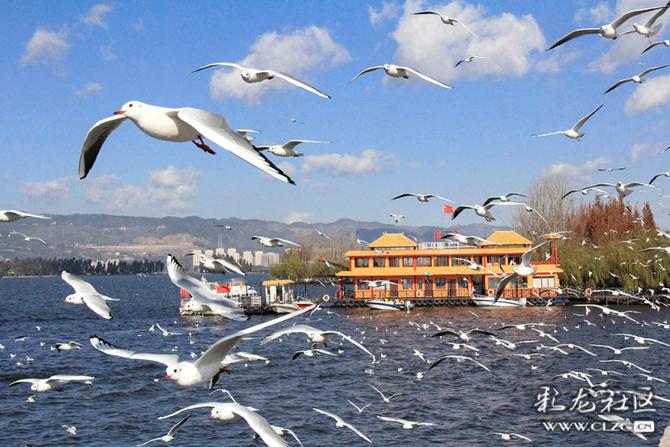 g1bf03oj1bb g1bf03oj1bb