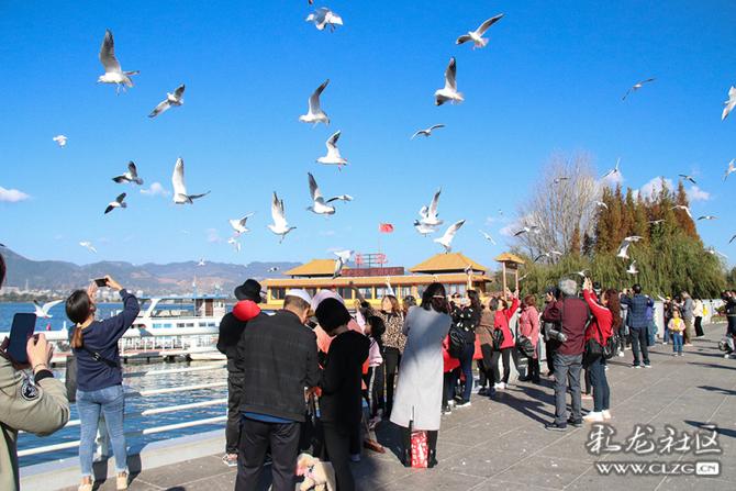 q45a1xo69ml q45a1xo69ml