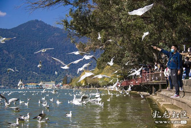 0cqmg3y7t69p 0cqmg3y7t69p