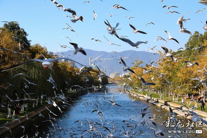 5690joax05n 5690joax05n