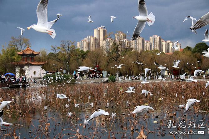 v64juirj8nk v64juirj8nk