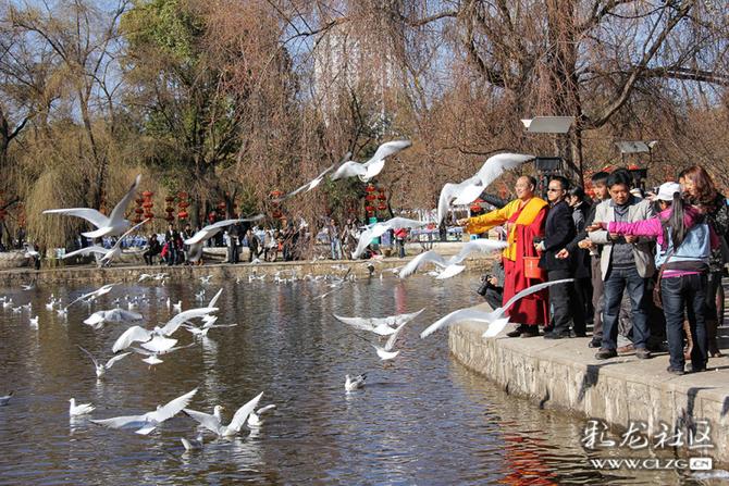 apf6btb6rqm apf6btb6rqm