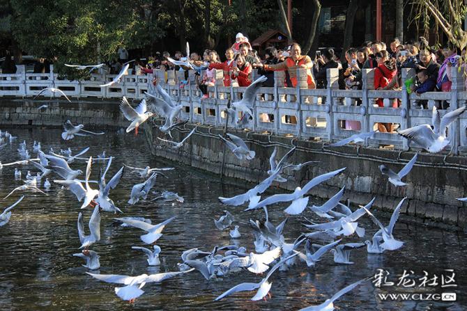 tqsy73m8rbr tqsy73m8rbr