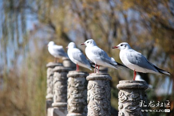 v7d5ecq077n v7d5ecq077n