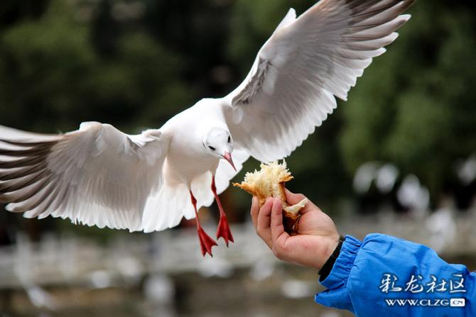 pe2ccrnghoh pe2ccrnghoh