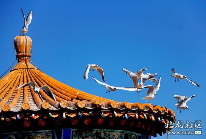 tg0op2r6bop tg0op2r6bop