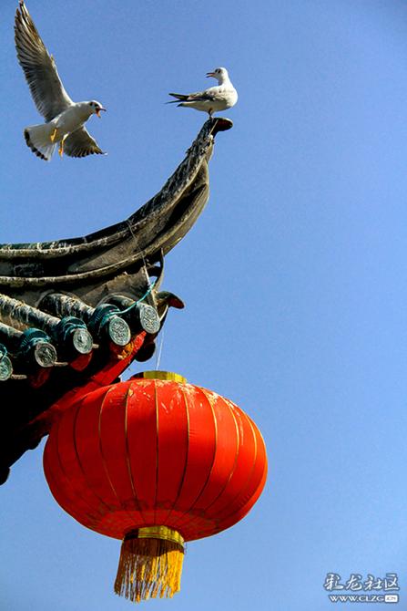 nq67ftaf17i nq67ftaf17i