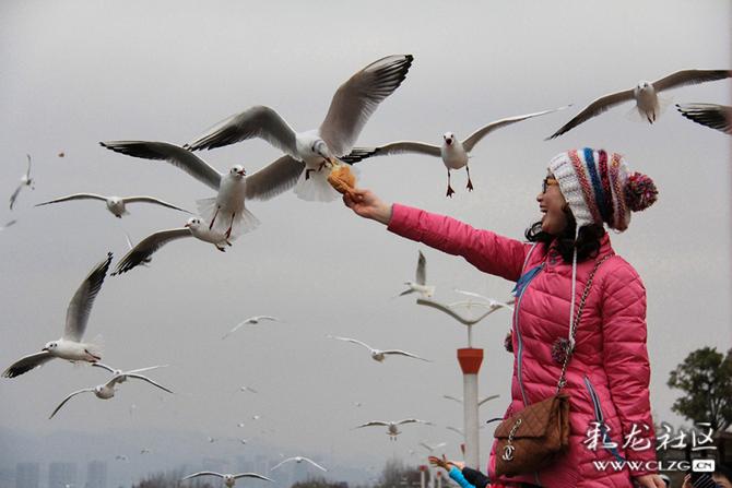 sy7eez85x4 sy7eez85x4