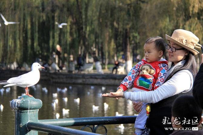 cy8o121eup7 cy8o121eup7