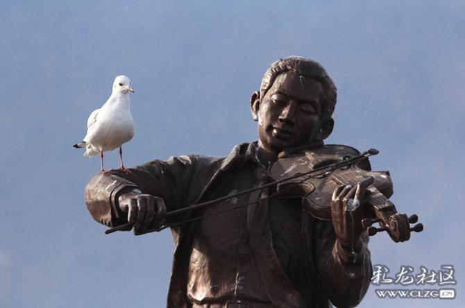 qdm100124rg qdm100124rg