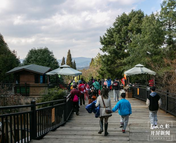 春节期间云南野生动物园狮虎山庄迎数万游客 云南野生动物园 供图