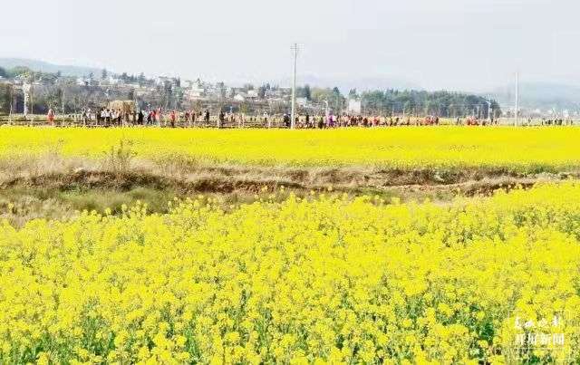 春节假期曲靖市接待游客数同比降8.2%! (1).jpg