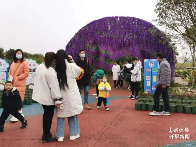 春节假期曲靖市接待游客数同比降8.2%! (5).jpg