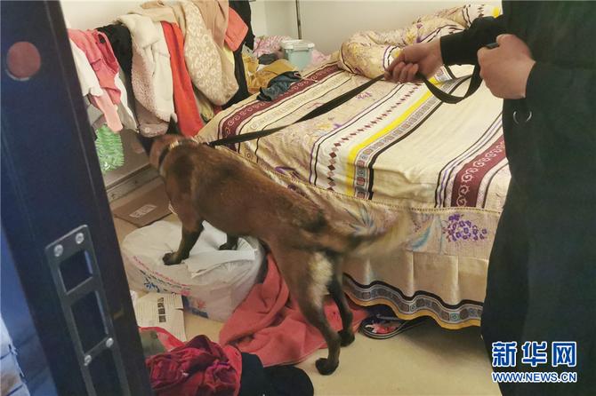 1310460457_16442829825491n