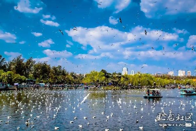 微信图片_20220215152556