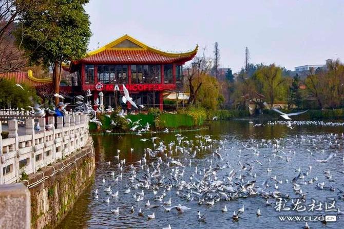 微信图片_20220215152627