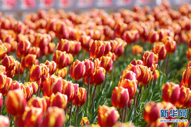 1310472239_16448931353801n