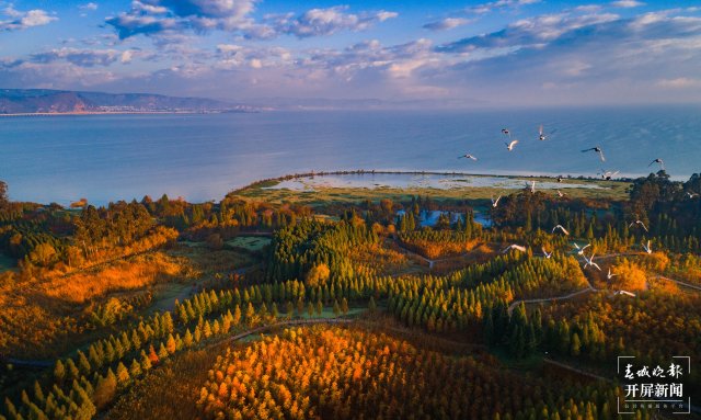 昆明晋宁:五年嬗变新画卷