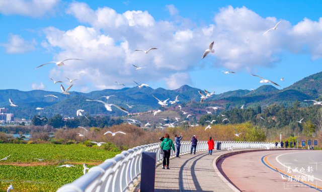 昆明晋宁:五年嬗变新画卷