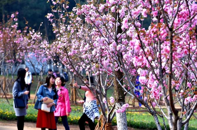 8844c56a3a9ec164541361587180105510