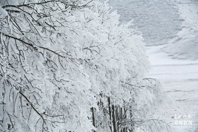 美出天际！昭通大山包保护区现雾凇景观，现场很震撼...